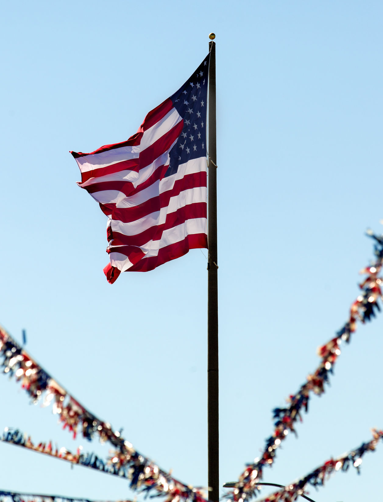 Flag Day